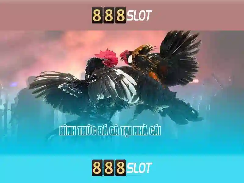 Giới thiệu về 888slot