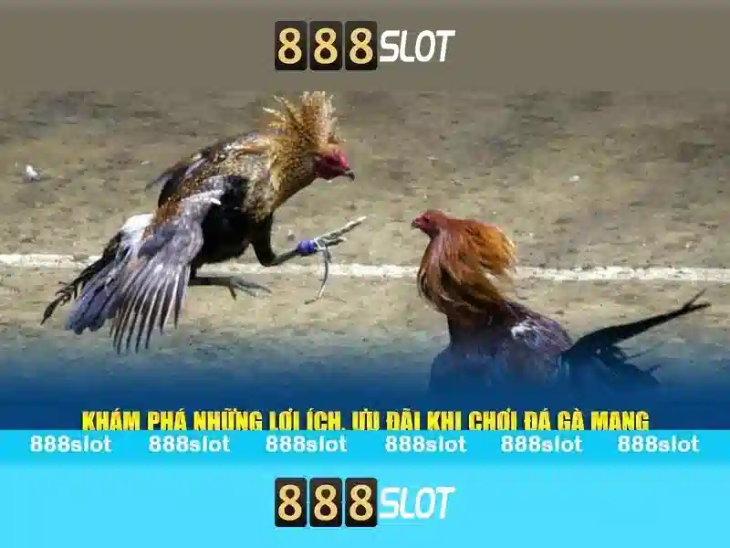 Lợi ích khi chơi trên di động