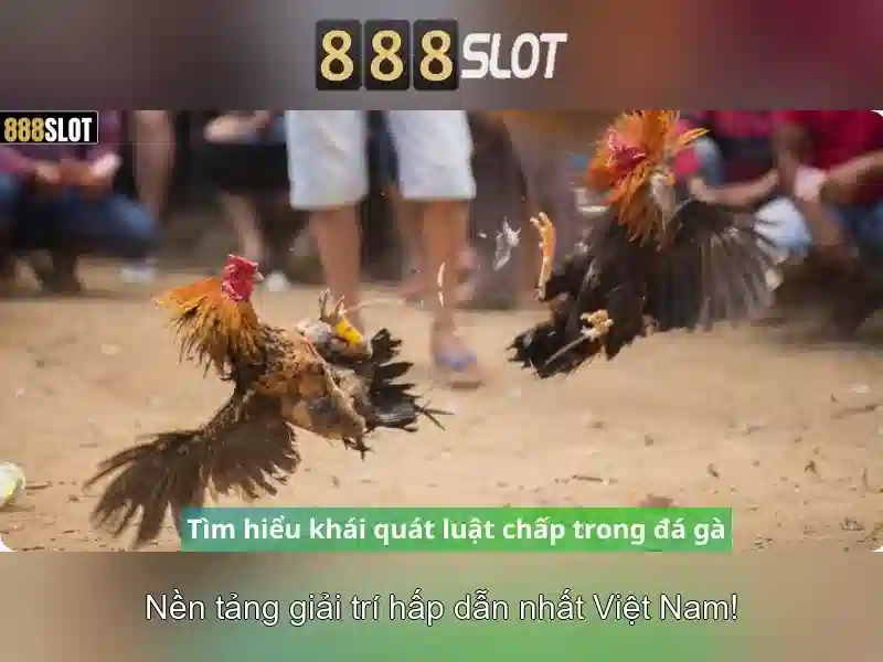 Tính năng nổi bật