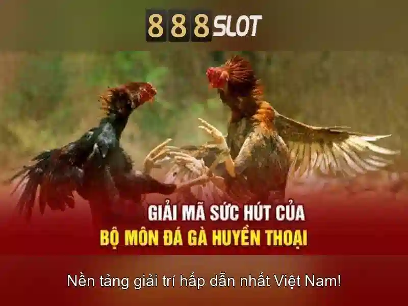 Tính năng đặc biệt và vòng thưởng