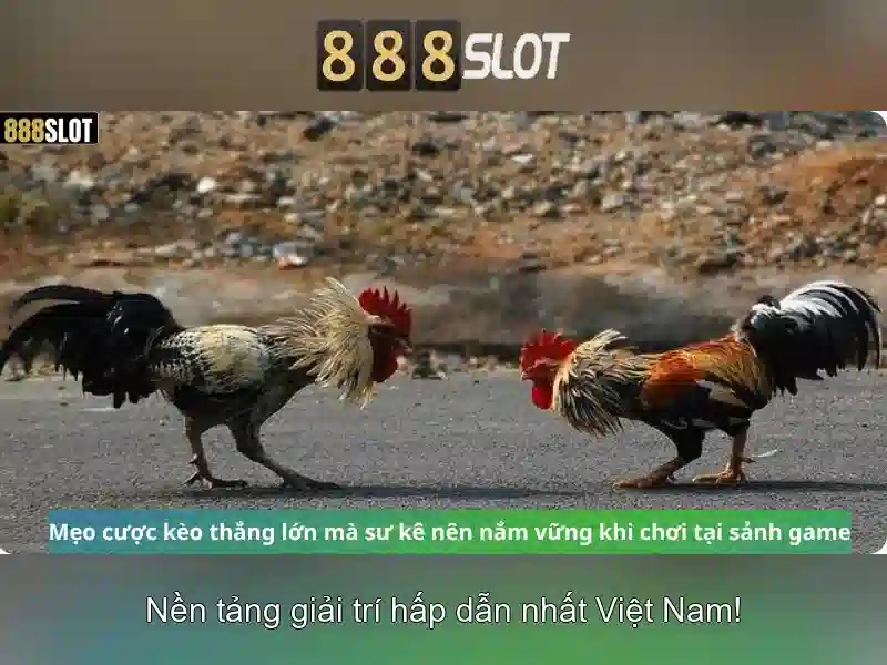 Kết luận về 888slot